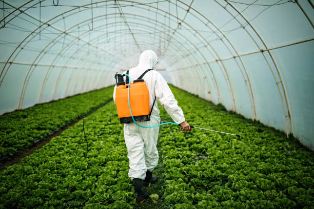 Best Affordable Pest Control Services  in Oak Grove, SC