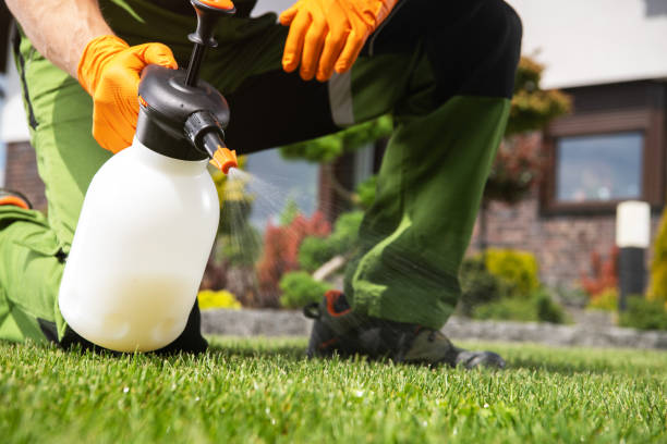 Best Best Pest Control Companies  in Oak Grove, SC