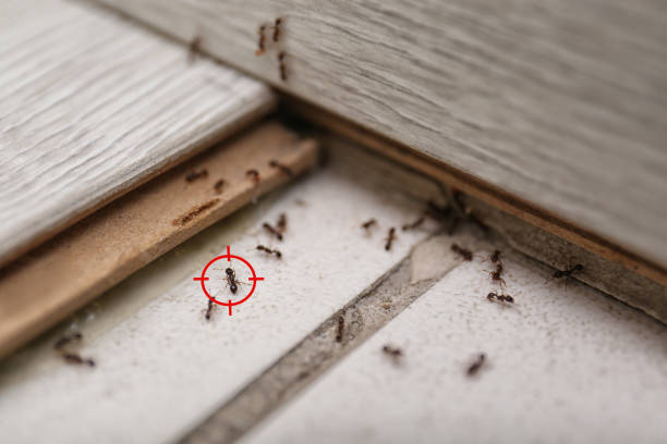 Pest Control for Restaurants in Oak Grove, SC