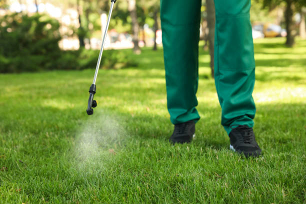Professional Pest Control in Oak Grove, SC