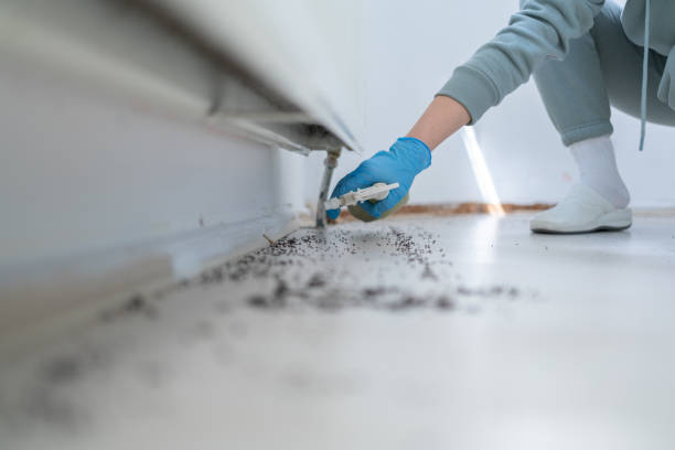 Best Best Pest Control Companies  in Oak Grove, SC