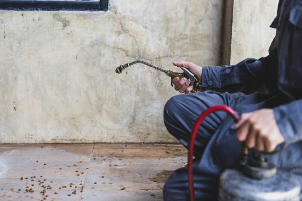 Best Mosquito Control Services  in Oak Grove, SC